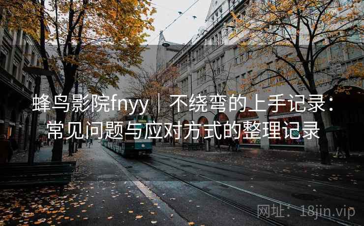 蜂鸟影院fnyy｜不绕弯的上手记录：常见问题与应对方式的整理记录