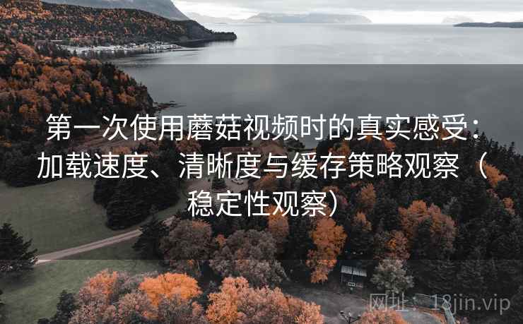 第一次使用蘑菇视频时的真实感受：加载速度、清晰度与缓存策略观察（稳定性观察）