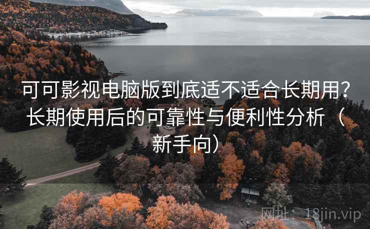 可可影视电脑版到底适不适合长期用？长期使用后的可靠性与便利性分析（新手向）