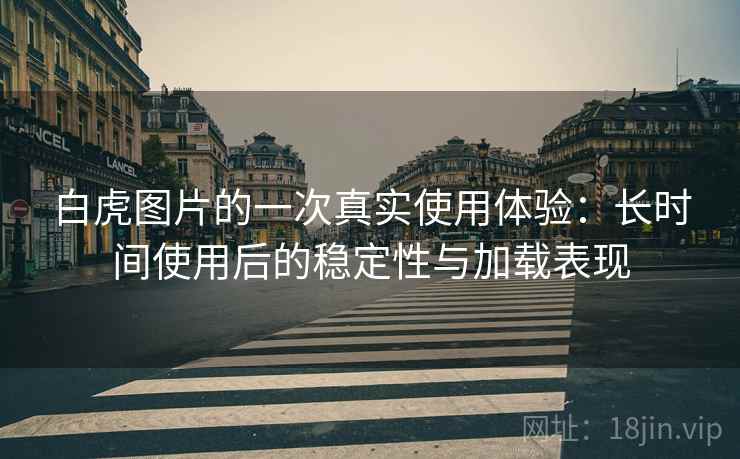 白虎图片的一次真实使用体验：长时间使用后的稳定性与加载表现
