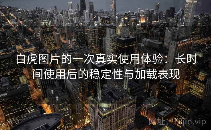 白虎图片的一次真实使用体验：长时间使用后的稳定性与加载表现