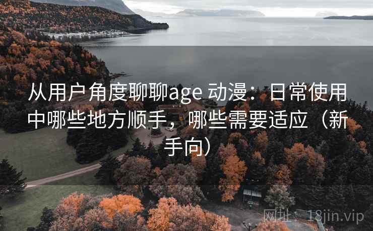 从用户角度聊聊age 动漫：日常使用中哪些地方顺手，哪些需要适应（新手向）
